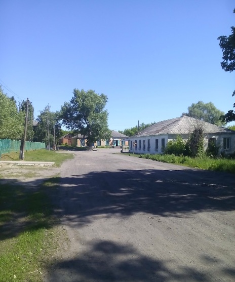 Новомикільське